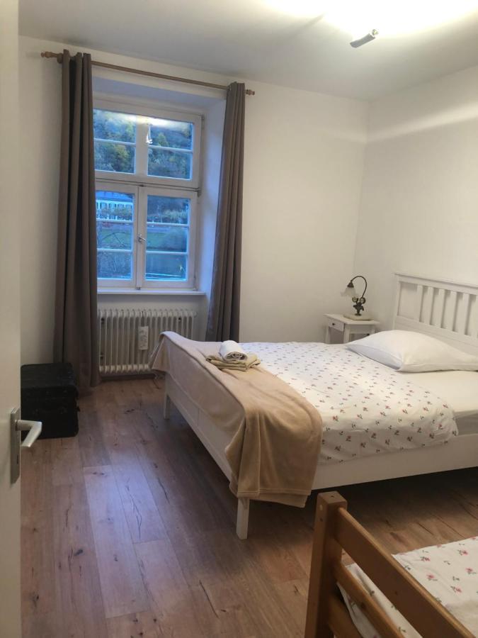 Philosophen Und Neckarblick Apartment Heidelberg Esterno foto